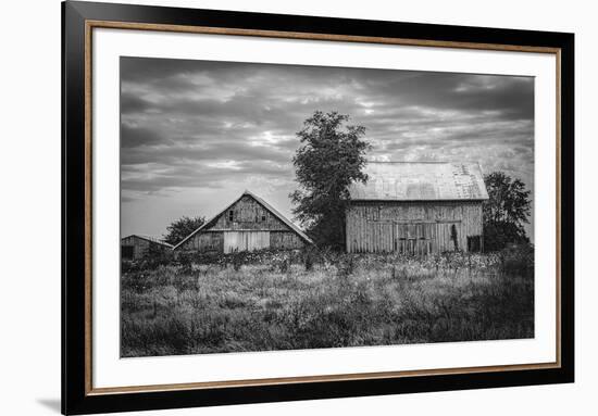 Three Elders-Trent Foltz-Framed Art Print