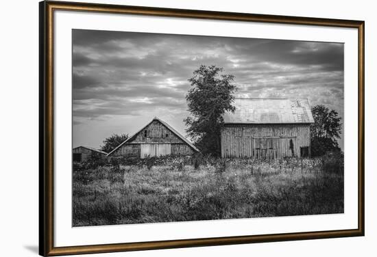 Three Elders-Trent Foltz-Framed Art Print