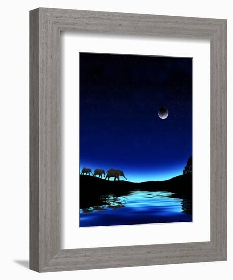 Three Elephants Walking Past Water-Mike Agliolo-Framed Photographic Print