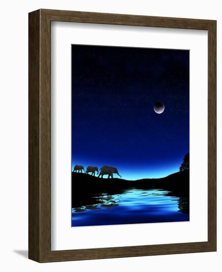 Three Elephants Walking Past Water-Mike Agliolo-Framed Photographic Print