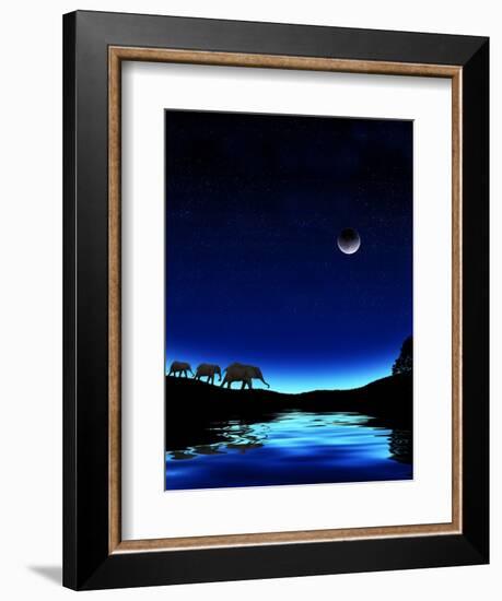 Three Elephants Walking Past Water-Mike Agliolo-Framed Photographic Print