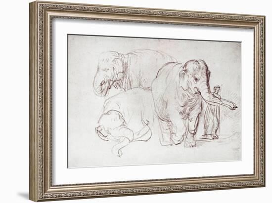 Three Elephants-Rembrandt van Rijn-Framed Giclee Print