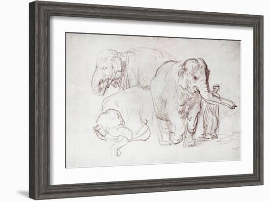 Three Elephants-Rembrandt van Rijn-Framed Giclee Print