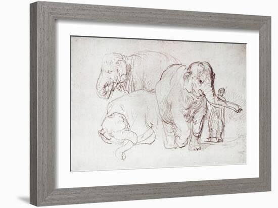 Three Elephants-Rembrandt van Rijn-Framed Giclee Print