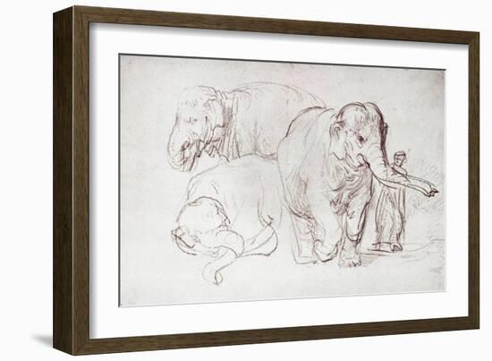 Three Elephants-Rembrandt van Rijn-Framed Giclee Print