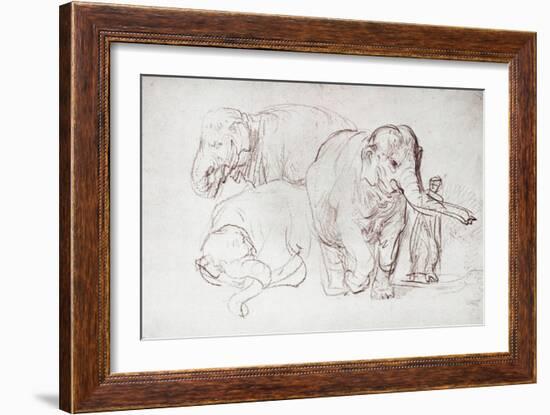 Three Elephants-Rembrandt van Rijn-Framed Giclee Print