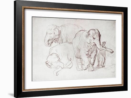 Three Elephants-Rembrandt van Rijn-Framed Giclee Print