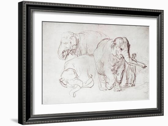 Three Elephants-Rembrandt van Rijn-Framed Giclee Print