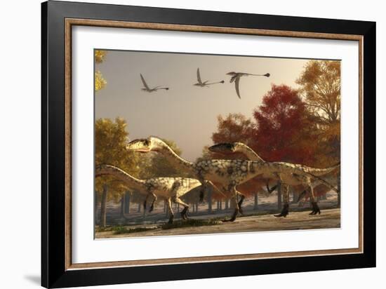 Three Eudimorphodons Fly Above a Group of Coelophysis in an Autumn Forest-Stocktrek Images-Framed Art Print