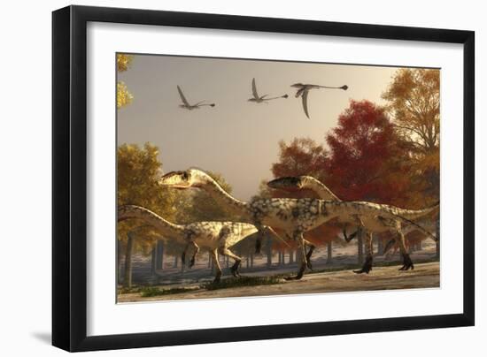 Three Eudimorphodons Fly Above a Group of Coelophysis in an Autumn Forest-Stocktrek Images-Framed Art Print