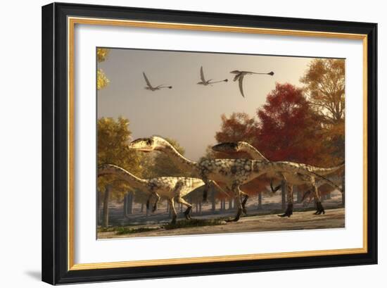 Three Eudimorphodons Fly Above a Group of Coelophysis in an Autumn Forest-Stocktrek Images-Framed Art Print