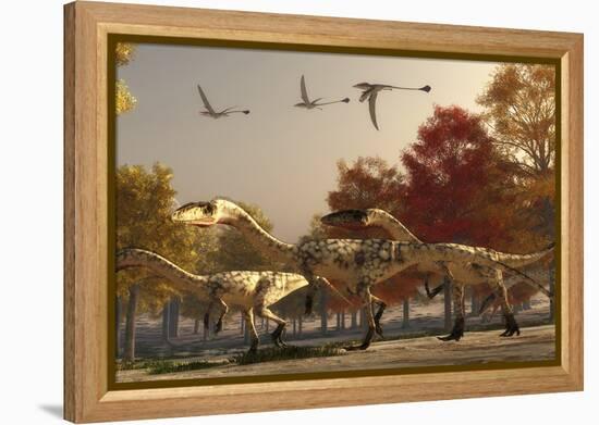 Three Eudimorphodons Fly Above a Group of Coelophysis in an Autumn Forest-Stocktrek Images-Framed Stretched Canvas