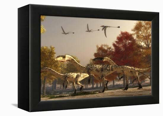 Three Eudimorphodons Fly Above a Group of Coelophysis in an Autumn Forest-Stocktrek Images-Framed Stretched Canvas