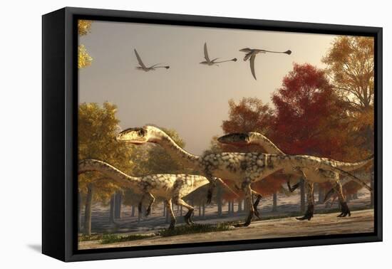 Three Eudimorphodons Fly Above a Group of Coelophysis in an Autumn Forest-Stocktrek Images-Framed Stretched Canvas