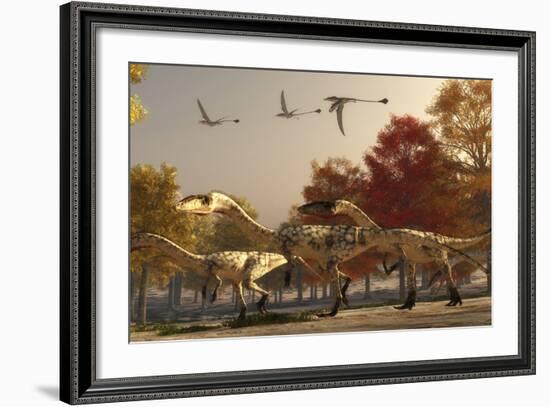 Three Eudimorphodons Fly Above a Group of Coelophysis in an Autumn Forest-Stocktrek Images-Framed Art Print