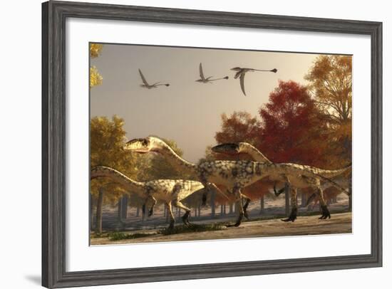 Three Eudimorphodons Fly Above a Group of Coelophysis in an Autumn Forest-Stocktrek Images-Framed Art Print