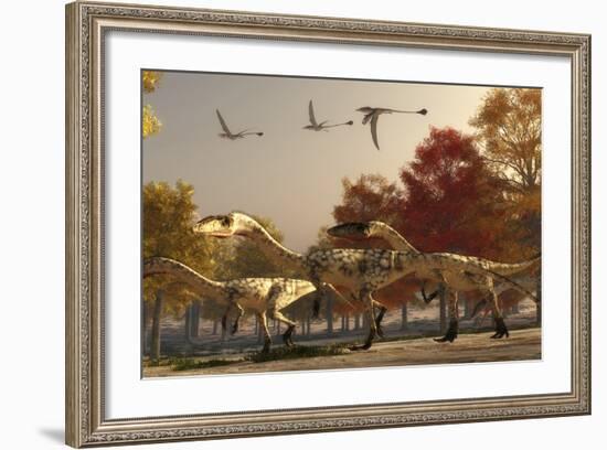 Three Eudimorphodons Fly Above a Group of Coelophysis in an Autumn Forest-Stocktrek Images-Framed Art Print