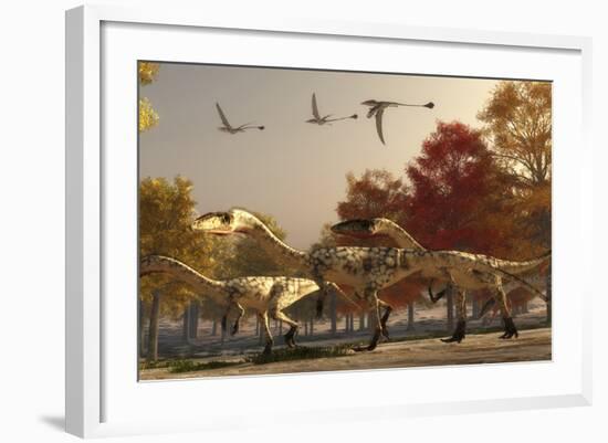 Three Eudimorphodons Fly Above a Group of Coelophysis in an Autumn Forest-Stocktrek Images-Framed Art Print