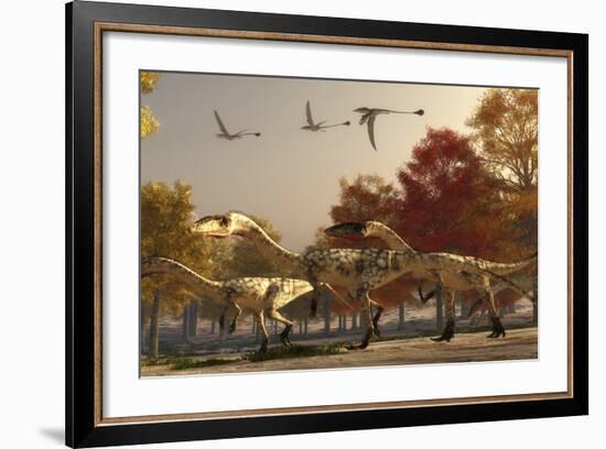 Three Eudimorphodons Fly Above a Group of Coelophysis in an Autumn Forest-Stocktrek Images-Framed Art Print