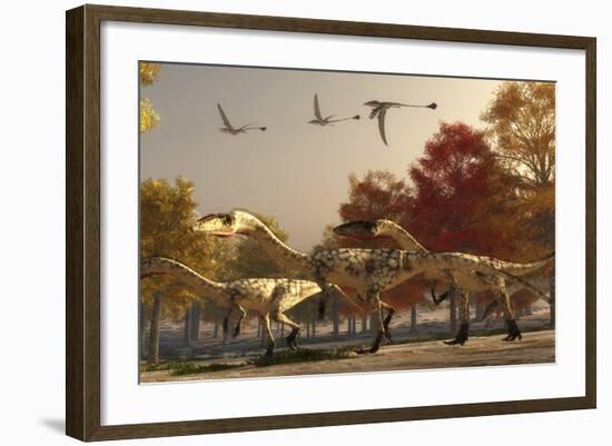 Three Eudimorphodons Fly Above a Group of Coelophysis in an Autumn Forest-Stocktrek Images-Framed Art Print