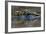 Three European Pond Turtles (Emys Orbicularis) and a Balkan Terrapin on Rock, Butrint, Albania-Geidemark-Framed Photographic Print