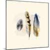 Three Feather Study 2-Evangeline Taylor-Mounted Art Print