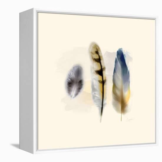 Three Feather Study 2-Evangeline Taylor-Framed Stretched Canvas