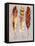 Three Feathers I-Gregory Gorham-Framed Stretched Canvas