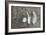 Three Feathers on Wood-Cora Niele-Framed Photographic Print