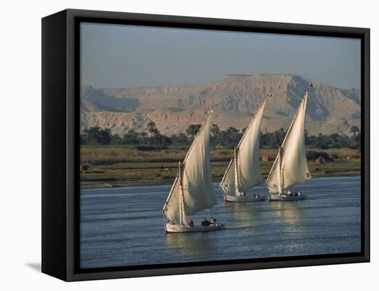 Three Feluccas Sailing on the River Nile, Egypt, North Africa, Africa-Thouvenin Guy-Framed Premier Image Canvas