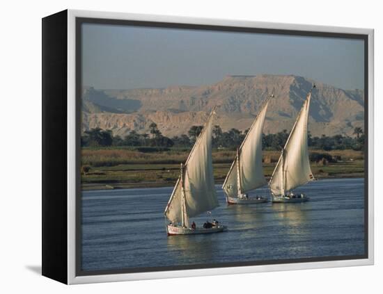 Three Feluccas Sailing on the River Nile, Egypt, North Africa, Africa-Thouvenin Guy-Framed Premier Image Canvas