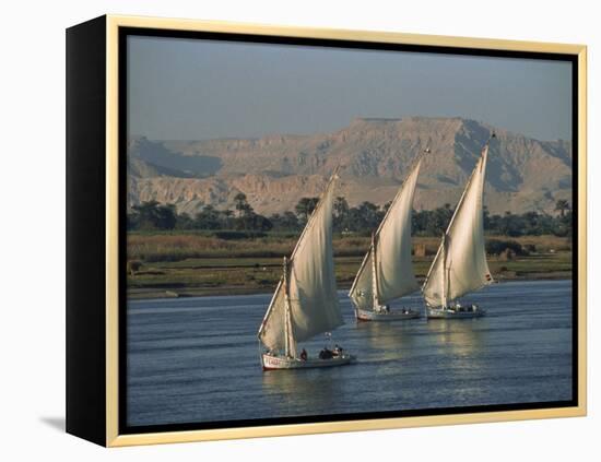 Three Feluccas Sailing on the River Nile, Egypt, North Africa, Africa-Thouvenin Guy-Framed Premier Image Canvas