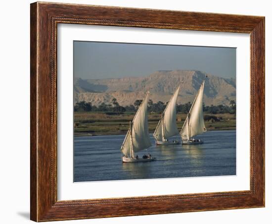 Three Feluccas Sailing on the River Nile, Egypt, North Africa, Africa-Thouvenin Guy-Framed Photographic Print
