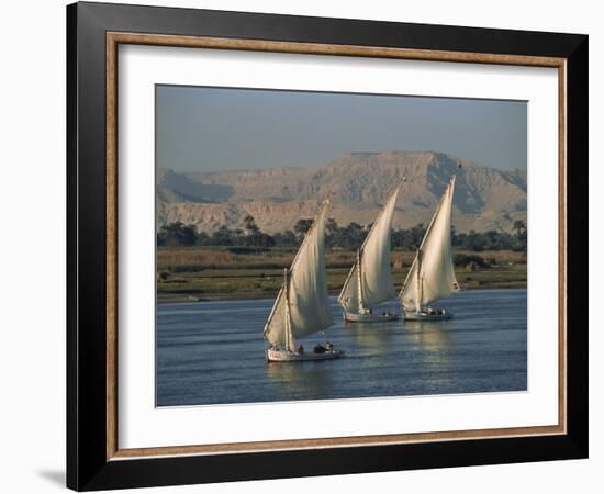 Three Feluccas Sailing on the River Nile, Egypt, North Africa, Africa-Thouvenin Guy-Framed Photographic Print