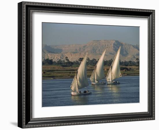 Three Feluccas Sailing on the River Nile, Egypt, North Africa, Africa-Thouvenin Guy-Framed Photographic Print