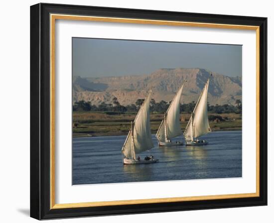 Three Feluccas Sailing on the River Nile, Egypt, North Africa, Africa-Thouvenin Guy-Framed Photographic Print