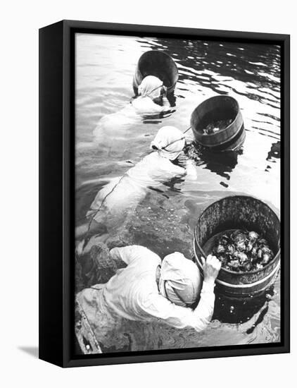 Three Female Mikimoto Pearl Divers with Buckets as They Prepare to Dive Down 20Ft. for Oysters-Alfred Eisenstaedt-Framed Premier Image Canvas