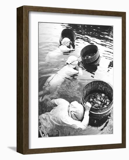 Three Female Mikimoto Pearl Divers with Buckets as They Prepare to Dive Down 20Ft. for Oysters-Alfred Eisenstaedt-Framed Photographic Print