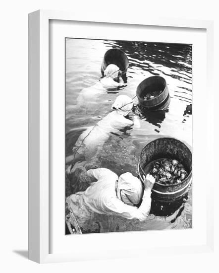 Three Female Mikimoto Pearl Divers with Buckets as They Prepare to Dive Down 20Ft. for Oysters-Alfred Eisenstaedt-Framed Photographic Print