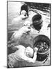 Three Female Mikimoto Pearl Divers with Buckets as They Prepare to Dive Down 20Ft. for Oysters-Alfred Eisenstaedt-Mounted Photographic Print