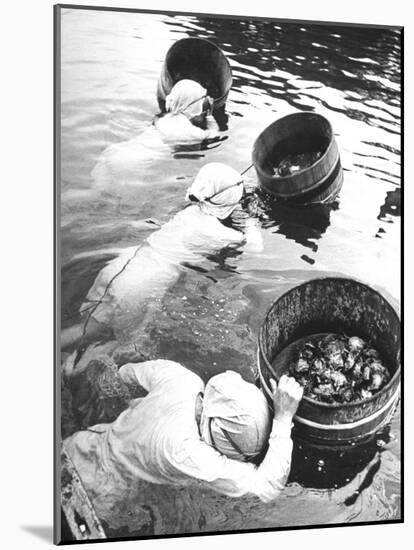 Three Female Mikimoto Pearl Divers with Buckets as They Prepare to Dive Down 20Ft. for Oysters-Alfred Eisenstaedt-Mounted Photographic Print