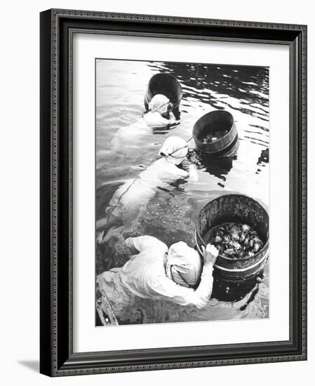 Three Female Mikimoto Pearl Divers with Buckets as They Prepare to Dive Down 20Ft. for Oysters-Alfred Eisenstaedt-Framed Photographic Print