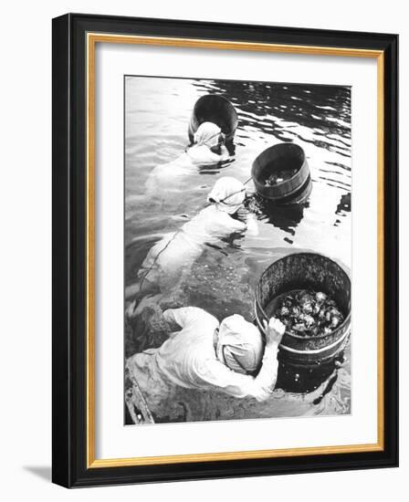 Three Female Mikimoto Pearl Divers with Buckets as They Prepare to Dive Down 20Ft. for Oysters-Alfred Eisenstaedt-Framed Photographic Print