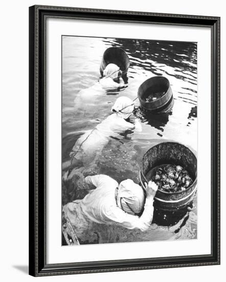 Three Female Mikimoto Pearl Divers with Buckets as They Prepare to Dive Down 20Ft. for Oysters-Alfred Eisenstaedt-Framed Photographic Print