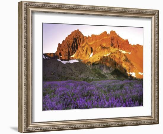 Three Fingered Jack Mountain-Steve Terrill-Framed Photographic Print