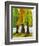 Three Fir Trees-Blenda Tyvoll-Framed Giclee Print