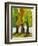 Three Fir Trees-Blenda Tyvoll-Framed Giclee Print