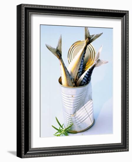 Three Fish (Mackerel) in a Tin-Marc O^ Finley-Framed Photographic Print