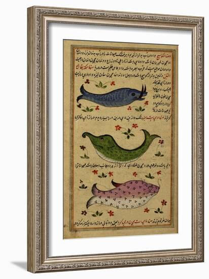 Three Fish-null-Framed Giclee Print