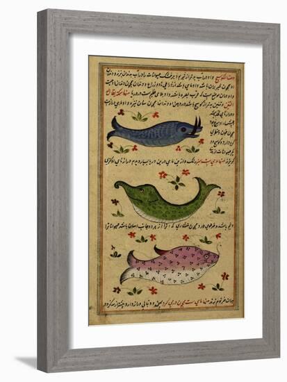 Three Fish-null-Framed Giclee Print